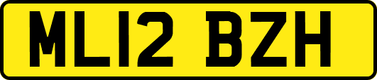 ML12BZH