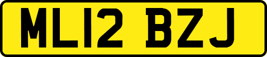 ML12BZJ