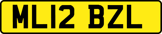 ML12BZL
