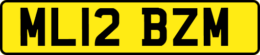 ML12BZM