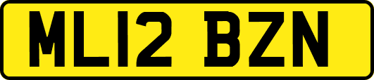 ML12BZN