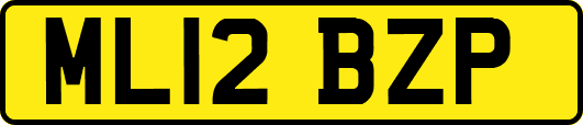 ML12BZP