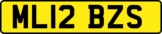 ML12BZS