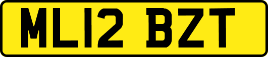 ML12BZT