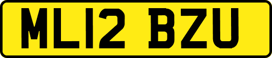 ML12BZU