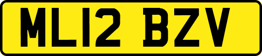 ML12BZV