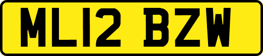 ML12BZW