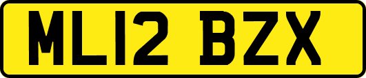 ML12BZX