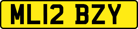 ML12BZY