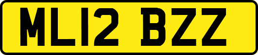 ML12BZZ