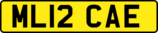 ML12CAE
