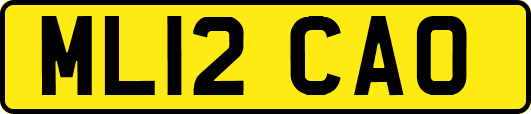 ML12CAO