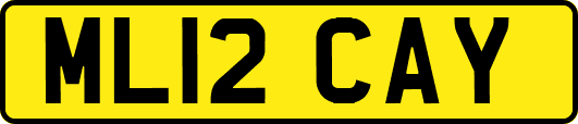 ML12CAY
