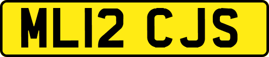 ML12CJS