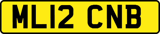 ML12CNB
