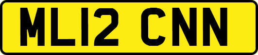 ML12CNN