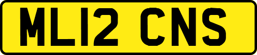 ML12CNS