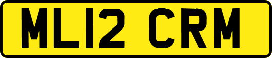 ML12CRM