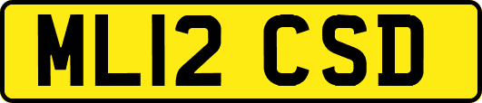 ML12CSD