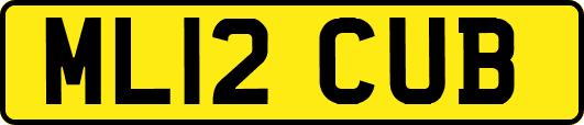 ML12CUB