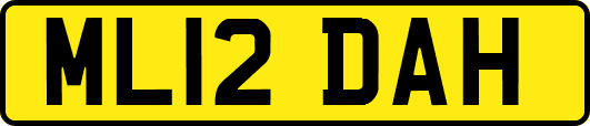 ML12DAH