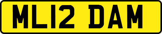 ML12DAM