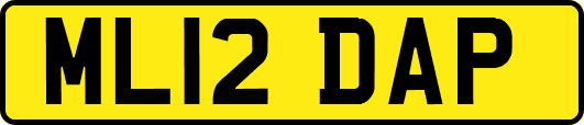 ML12DAP