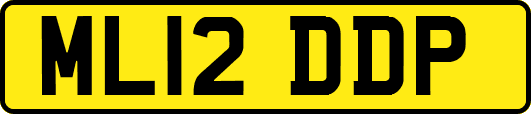 ML12DDP