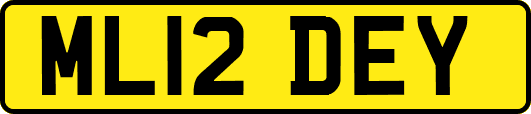 ML12DEY