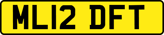ML12DFT