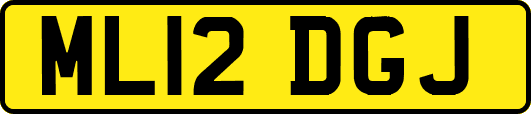 ML12DGJ