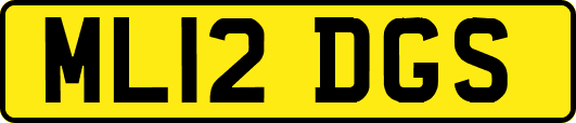ML12DGS