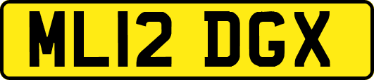 ML12DGX