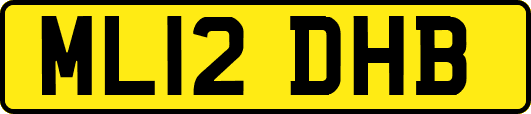 ML12DHB