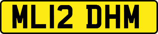 ML12DHM