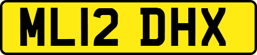 ML12DHX