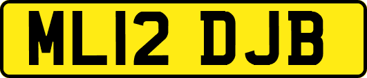 ML12DJB