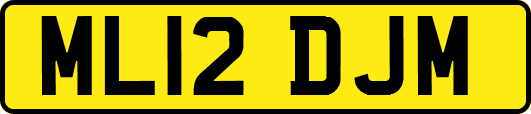 ML12DJM