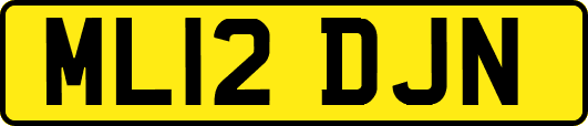 ML12DJN