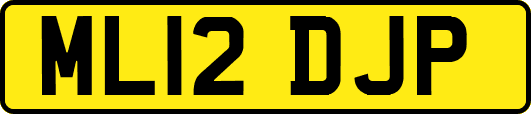 ML12DJP