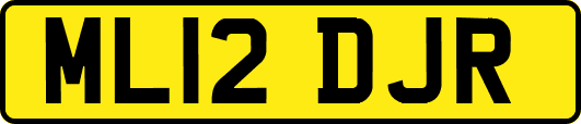 ML12DJR