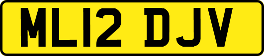 ML12DJV