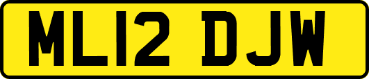 ML12DJW