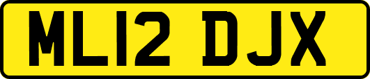 ML12DJX