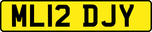 ML12DJY