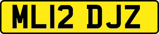ML12DJZ