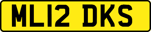 ML12DKS