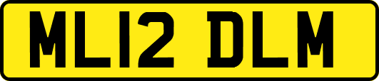 ML12DLM