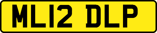 ML12DLP