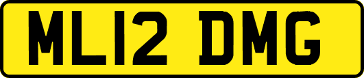 ML12DMG